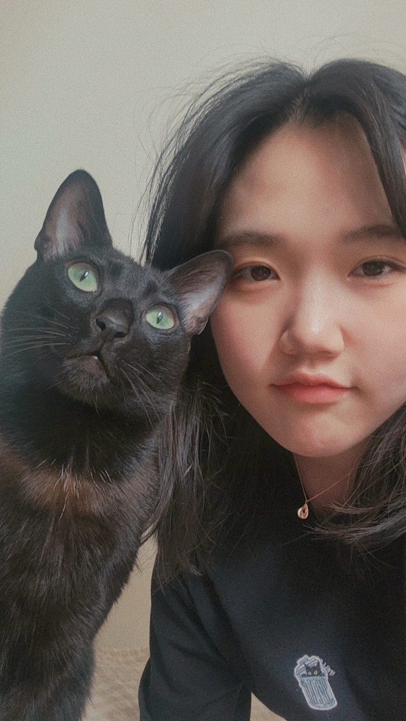 손은